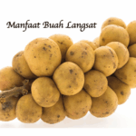 Erek Erek Buah Langsat 2D 3D 4D Menurut Buku Mimpi Terbaru 2025