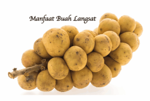 Erek Erek Buah Langsat 2D 3D 4D Menurut Buku Mimpi Terbaru 2025