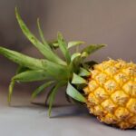 Erek Erek Buah nanas 2D 3D 4D Menurut Buku Mimpi Terbaru 2025