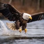 Erek Erek Elang 2D 3D 4D Menurut Buku Mimpi Terbaru 2025