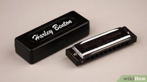 Erek Erek Harmonika 2D 3D 4D Menurut Buku Mimpi Terbaru 2025