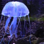 Erek Erek Ubur ubur 2D 3D 4D Menurut Buku Mimpi Terbaru 2025