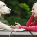 Erek Erek Berbicara Dengan Hewan 2D 3D 4D Menurut Buku Mimpi Terbaru 2025