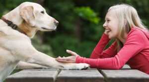 Erek Erek Berbicara Dengan Hewan 2D 3D 4D Menurut Buku Mimpi Terbaru 2025