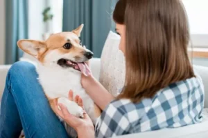 Erek Erek Berbicara Kepada Hewan 2D 3D 4D Menurut Buku Mimpi Terbaru 2026