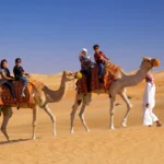 Erek Erek Berjalan di Padang Pasir 2D 3D 4D Menurut Buku Mimpi Terbaru 2025