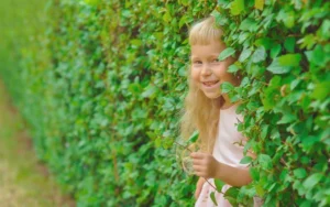 Erek Erek Bersembunyi di Semak Semak 2D 3D 4D Menurut Buku Mimpi Terbaru 2026