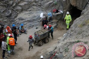 Erek Erek Buruh Tambang 2D 3D 4D Menurut Buku Mimpi Terbaru 2025