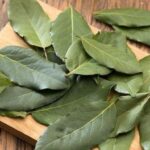 Erek Erek Daun salam 2D 3D 4D Menurut Buku Mimpi Terbaru 2025