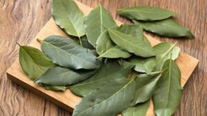 Erek Erek Daun salam 2D 3D 4D Menurut Buku Mimpi Terbaru 2025