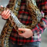 Erek Erek Dikelilingi Ular 2D 3D 4D Menurut Buku Mimpi Terbaru 2026