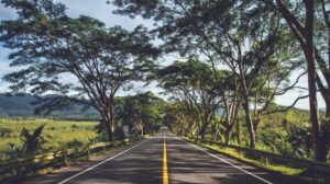 Erek Erek Jalan Raya 2D 3D 4D Menurut Buku Mimpi Terbaru 2026