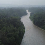 Erek Erek Kali Brantas 2D 3D 4D Menurut Buku Mimpi Terbaru 2026