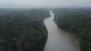 Erek Erek Kali Brantas 2D 3D 4D Menurut Buku Mimpi Terbaru 2026