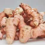 Erek Erek Lengkuas 2D 3D 4D Menurut Buku Mimpi Terbaru 2025