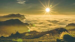 Erek Erek Melihat Matahari Terbit 2D 3D 4D Menurut Buku Mimpi Terbaru 2026