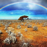 Erek Erek Melihat Pelangi Di Gurun 2D 3D 4D Menurut Buku Mimpi Terbaru 2026