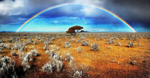 Erek Erek Melihat Pelangi Di Gurun 2D 3D 4D Menurut Buku Mimpi Terbaru 2026