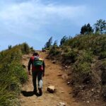 Erek Erek Mendaki Bukit 2D 3D 4D Menurut Buku Mimpi Terbaru 2025