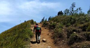 Erek Erek Mendaki Bukit 2D 3D 4D Menurut Buku Mimpi Terbaru 2025