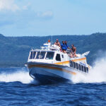 Erek Erek Mengendarai Kapal Di Laut 2D 3D 4D Menurut Buku Mimpi Terbaru 2026