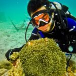 Erek Erek Menyelam Di Laut Dalam 2D 3D 4D Menurut Buku Mimpi Terbaru 2025