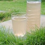 Erek Erek Minum Tuak 2D 3D 4D Menurut Buku Mimpi Terbaru 2025