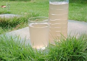 Erek Erek Minum Tuak 2D 3D 4D Menurut Buku Mimpi Terbaru 2025