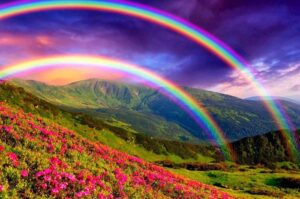 Erek Erek Pelangi 2D 3D 4D Menurut Buku Mimpi Terbaru 2026