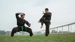 Erek Erek Pencak Silat 2D 3D 4D Menurut Buku Mimpi Terbaru 2025