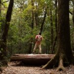 Erek Erek Tersesat Di Hutan 2D 3D 4D Menurut Buku Mimpi Terbaru 2025